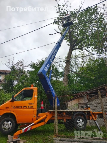 Рязане и кастрене на дървета с автовишка.