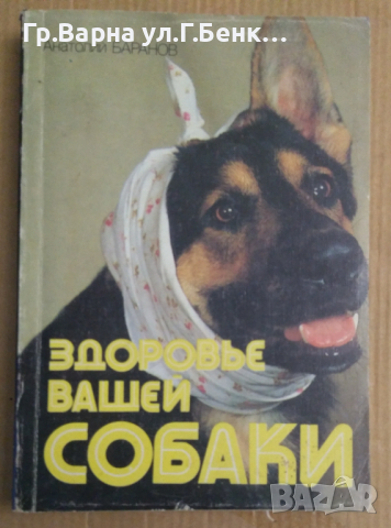 Здоровье вашей собаки  Анатолий Баранов