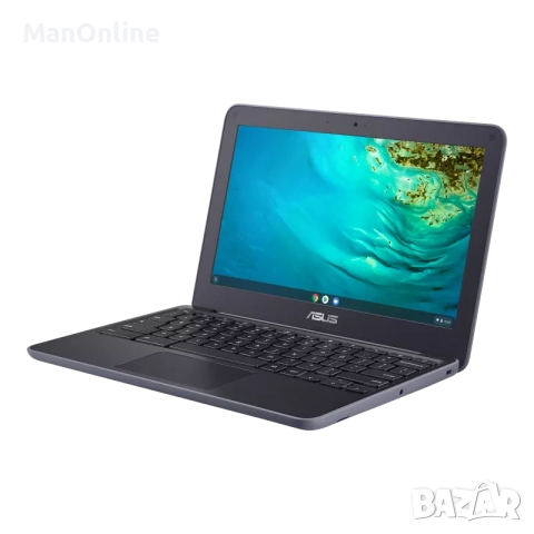 Лаптоп Asus Chromebook 