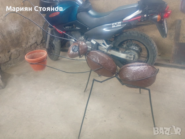 Мравка от камък 