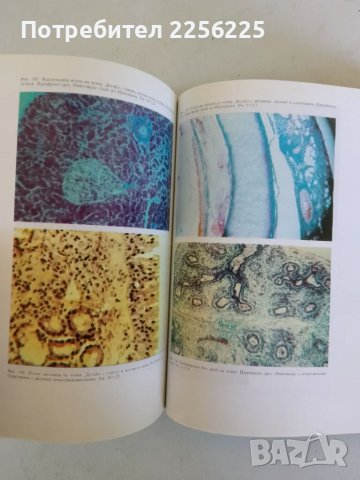 Ръководство за практически упражнения по хистология и ембриология на човека, снимка 4 - Специализирана литература - 47492150