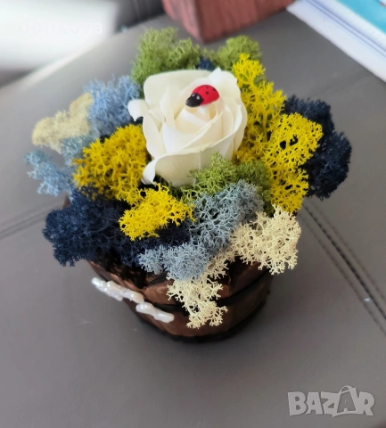 живи картини декорации от скандинавски мъх., снимка 2 - Картини - 53978658