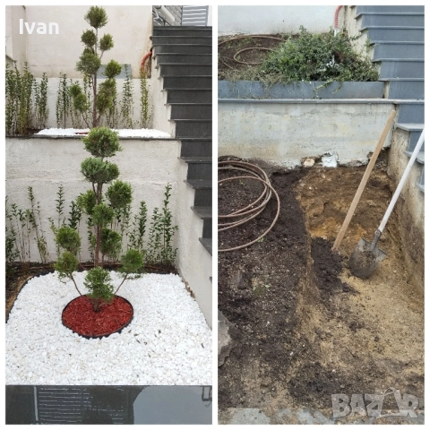 озеленяване , снимка 5 - Други - 52054077