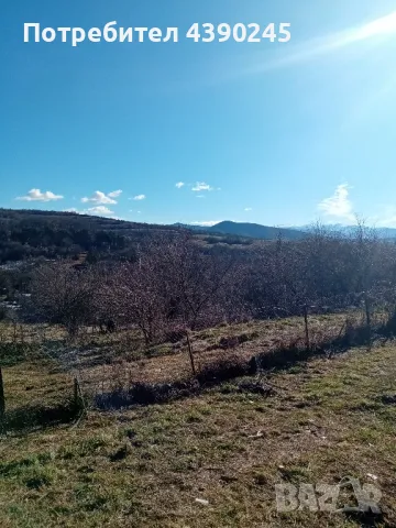 животновъден обект , снимка 15 - Други - 49296149