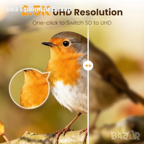 Нова Смарт хранилка за птици с AI разпознаване и 2.5K камера за открито, снимка 8 - За птици - 52544314