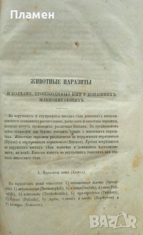 Животньiе паразитьi и болезни Э. К. Брандтъ /1873/, снимка 3 - Антикварни и старинни предмети - 53188537