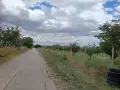 Овощна градина сорт Стенлей , снимка 4