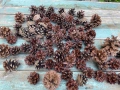 Шишарки за декорация, украса, големи количества, снимка 3