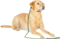 Fenrir Slip Leash 1,4 м с пружинен стопер (зелен), снимка 1 - За кучета - 44553188