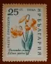 Български пощенски марки с цветя. Серия "Пазете природата". 1960 г., снимка 4