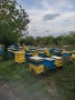 продавам пчелин и ивентар, снимка 5