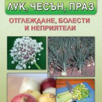 Производство на лук, чесън, праз, снимка 1 - Специализирана литература - 17283214