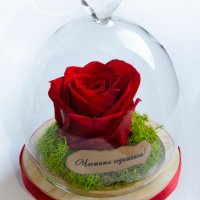 Вечна ЕСТЕСТВЕНА роза в Стъкленица / Интересен Подарък за Приятелка / Подарък за Годишнина, снимка 3 - Декорация за дома - 30923346
