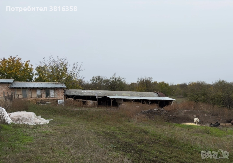 Продавам парцел в с.Веселина, обл. Разград) 4 дка /4100 кв.м., снимка 1