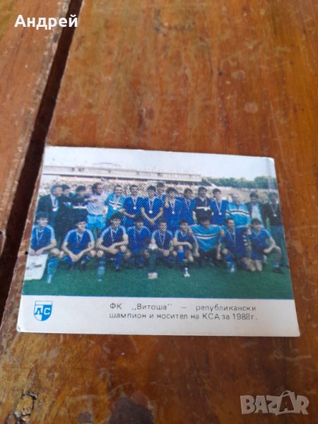 Календарче Витоша,Левски 1989, снимка 1