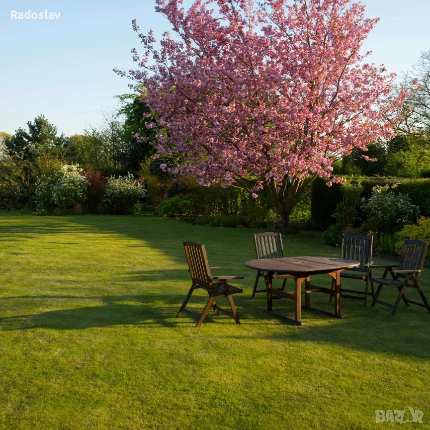 Превърнете двора си в рай, правя косене и поддръжка.., снимка 1