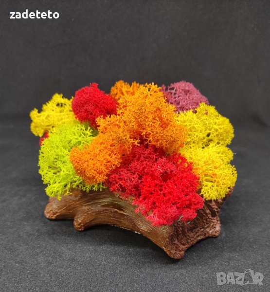 Кашпа пънче в топли цветове скандинавски  мъх, снимка 1