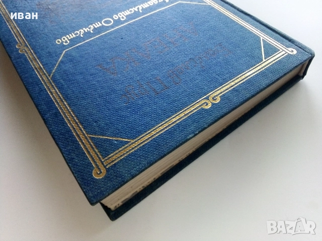 Анелка - Болеслав Прус - 1981г., снимка 7 - Художествена литература - 52904592