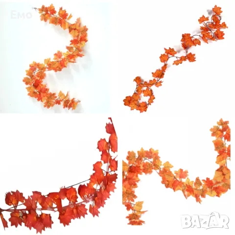 Елегантна декоративна есенна лиана