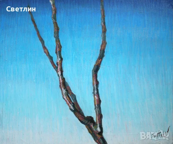 Картини Пейзажи, снимка 10 - Картини - 56551754