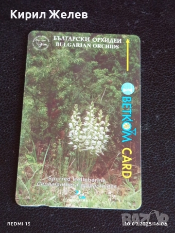 Две фонокарти БЕТКОМ, МОБИКА тема TOM CRUISE MINORITY REPORT / ОРХИДЕИ за КОЛЕКЦИЯ 21160, снимка 7 - Колекции - 51667898