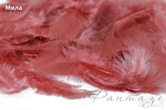 Пера, снимка 5 - Декорация за дома - 31498455