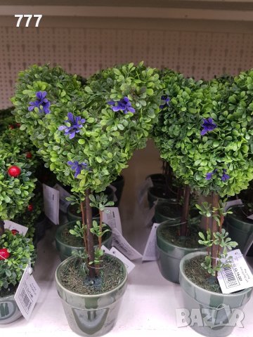 бонзай , снимка 5 - Декорация за дома - 44193181