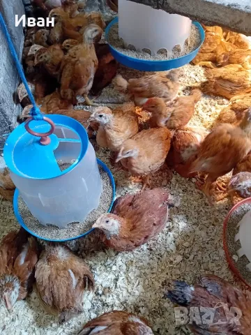 тетра хб, снимка 1