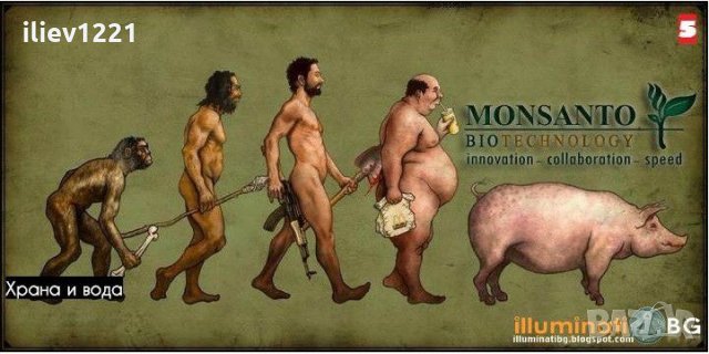 Passive house / Пасивна къща, снимка 2 - Къщи - 30182137