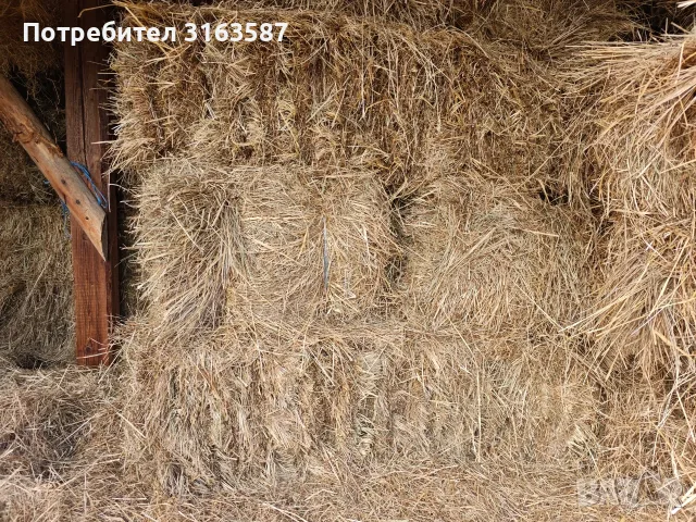Бали сено и слама, снимка 4 - За селскостопански - 56466338