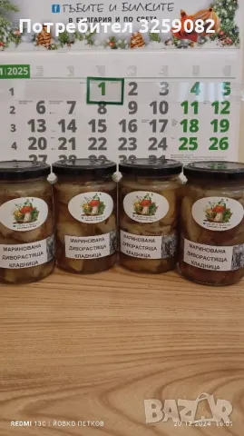 Мариновани гъби., снимка 1