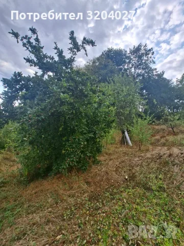 Продава се парцел (УПИ) във вилна зона Чeканица, гр. Ботевград - 1017 кв.м, снимка 9 - Парцели - 55968828