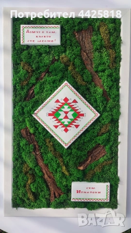 Пана от скандинавски мъх! Промо цена! 