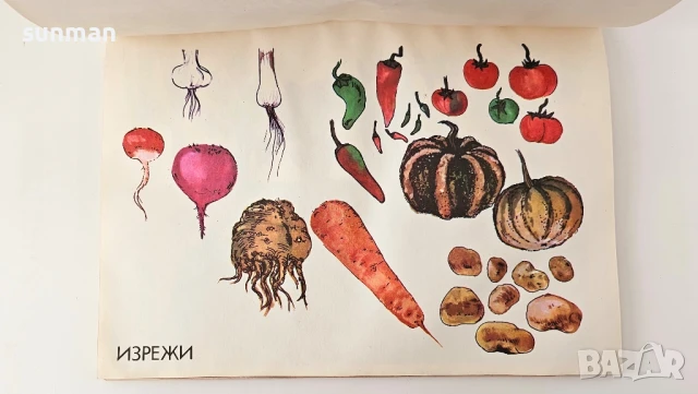 Две в едно/ Албуми за първи клас/ 1981 година, снимка 4 - Колекции - 51057137