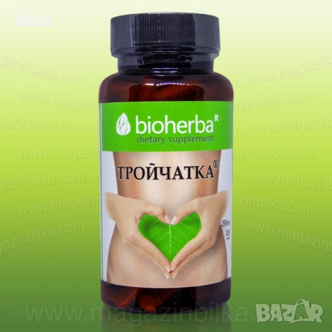 Тинктура Тройчатка (пелин, зелен орех, карамфил)