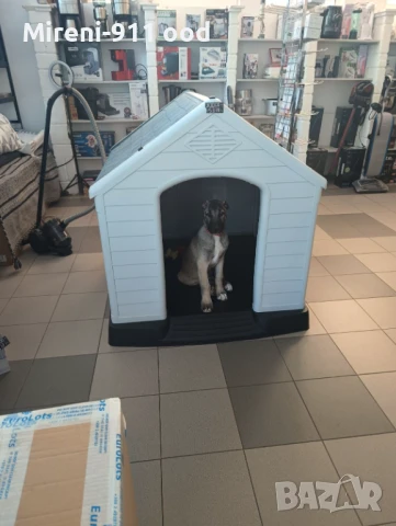 КУЧЕШКА КЪЩИЧКА XXL