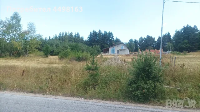 Ливада край язовир Батак, снимка 2 - Парцели - 55736183