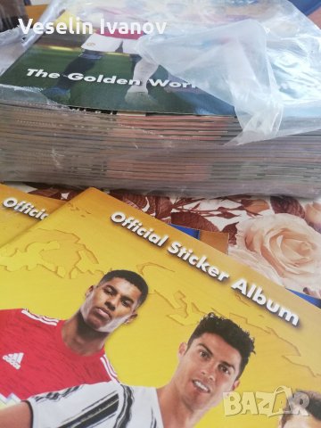 Албуми и стикери Panini/панини 2021 , снимка 4 - Колекции - 34325930