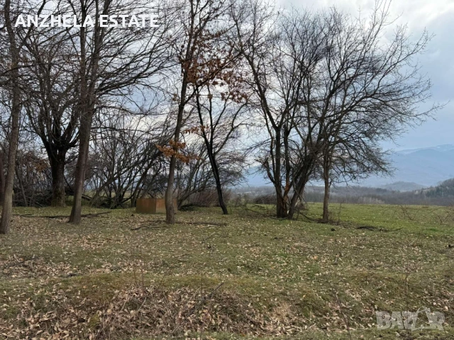 🏡 ПРОДАВА СЕ ИМОТ С ПАНОРАМНА ГЛЕДКА КЪМ ЯЗОВИР СОПОТ – С. ГОЛЯМА ЖЕЛЯЗНА, снимка 2 - Парцели - 53958452