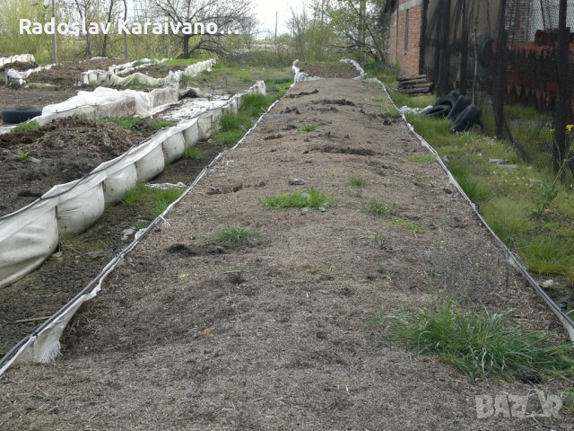 Биотор Биохумус от калифорнииски червеи., снимка 12 - Тор и почвени смеси - 31715952