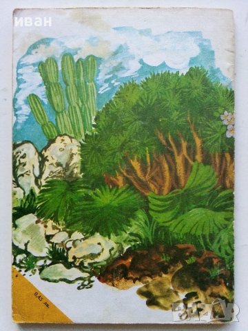 Том Сойер детектив - Марк Твен - 1981г., снимка 6 - Детски книжки - 40012889