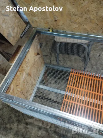  Калифорнийски зайци, снимка 17 - Други - 38133793