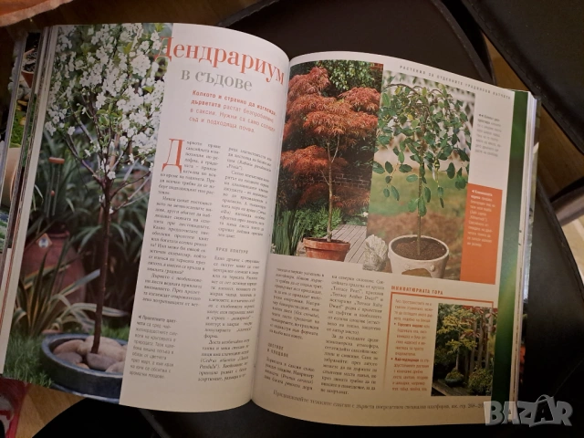 Книга Великолепна градина, снимка 3 - Специализирана литература - 54153117