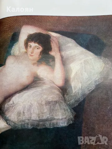 Стар албум на Гоя , снимка 11 - Специализирана литература - 48075673