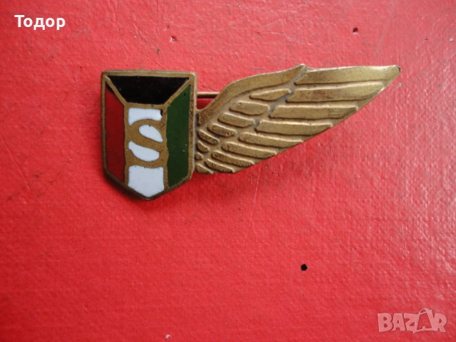 Армейски бронзов знак с емайл , снимка 2 - Колекции - 52615815