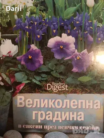 Великолепна градина в саксии през всички сезони