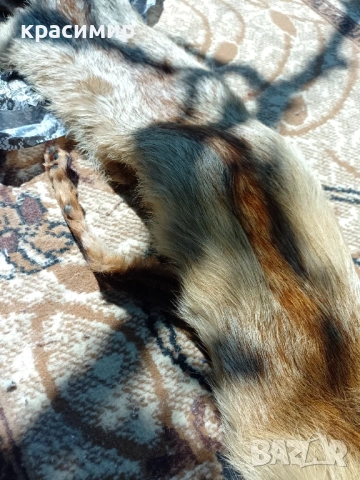 Кожена яка от лисица, снимка 5 - Шалове - 54312760