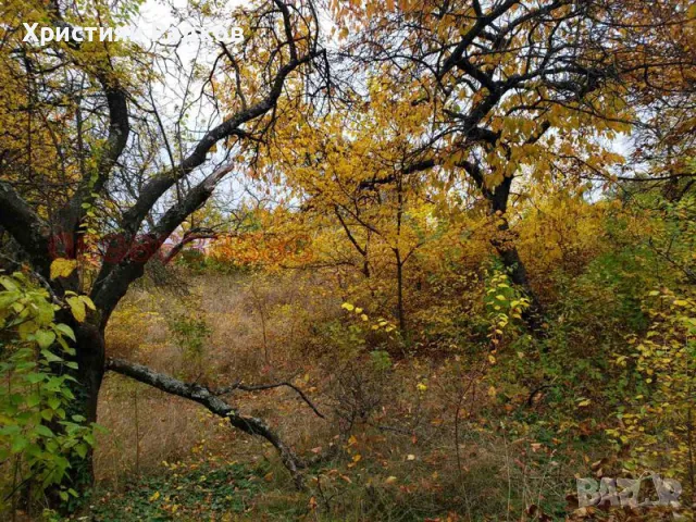 Парцел Войнеговци, снимка 3 - Парцели - 48595351