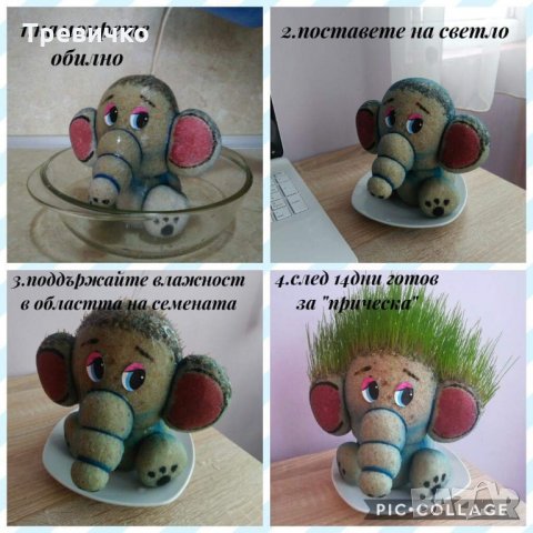 Чичко тревичко , снимка 7 - Образователни игри - 30939389