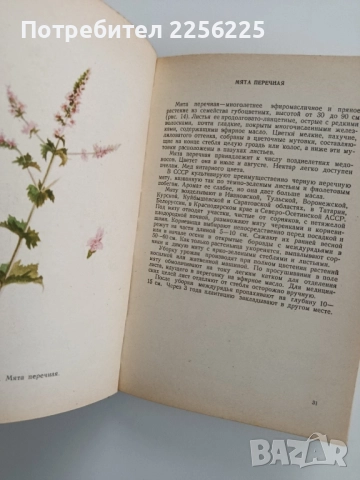 Албум с илюстрации на медоносни растения, снимка 3 - Специализирана литература - 52471052